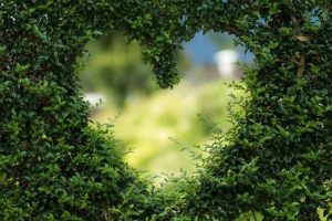 Heart Herzchen Love Romance Luck Valentine's Day