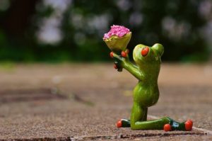 I Beg Your Pardon Excuse Me Frog Sweet Cute Funny