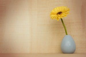 Gerbera Flower Decoration Flora Flower Still Life