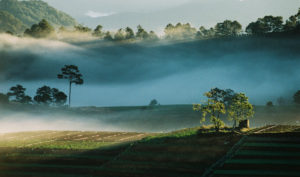 Manage Depression Inspirational Early Sunrays