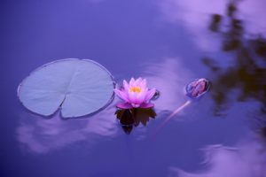 Mindfulness as a coping skill